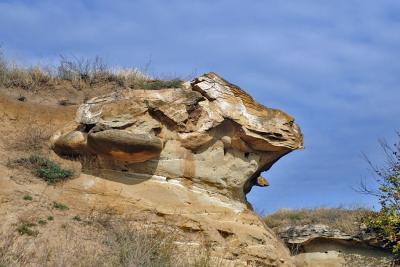 Прикрепленное изображение: PA232567_web.jpg